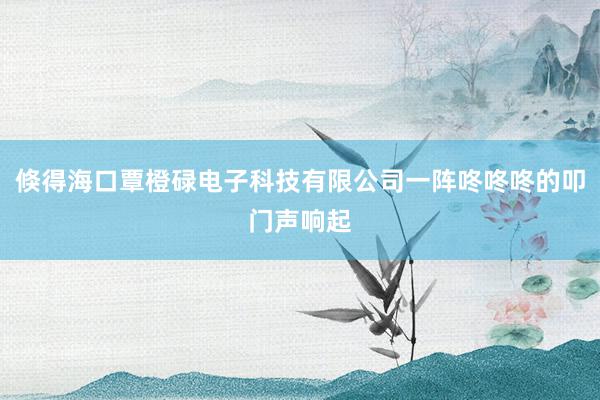 倏得海口覃橙碌电子科技有限公司一阵咚咚咚的叩门声响起