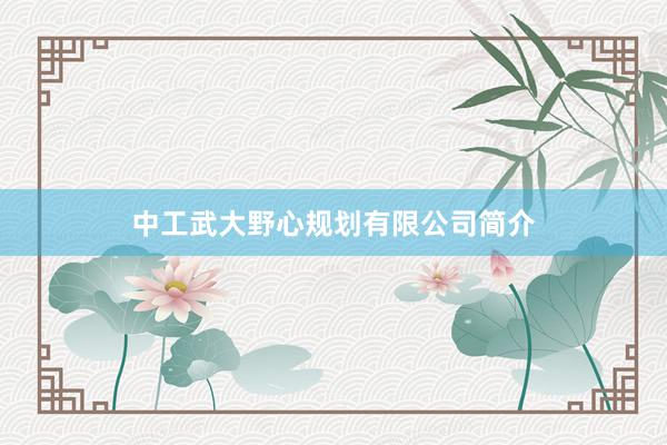 中工武大野心规划有限公司简介