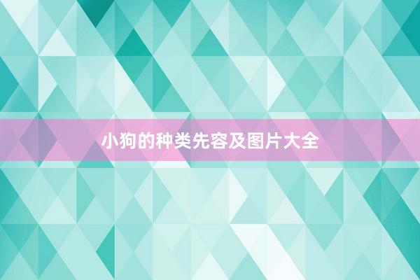 小狗的种类先容及图片大全