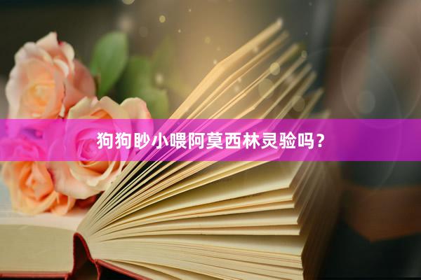 狗狗眇小喂阿莫西林灵验吗？